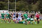 Tynedale v Wharfdale, September 6th, 2025, Tynedale Park, Corbridge, Northumberland.